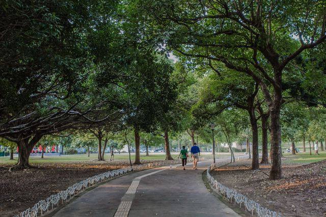 大溪埔頂公園的官方照片