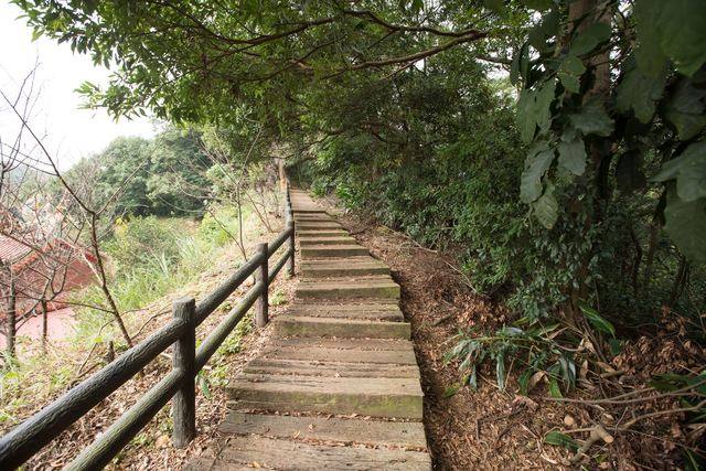 龜山楓樹坑步道的官方照片