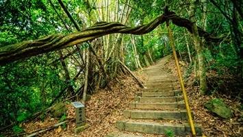 藤坪古道的官方照片