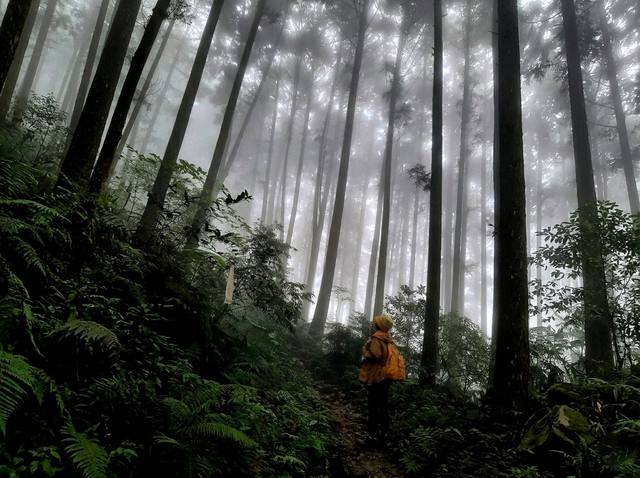 鵝公髻山步道的官方照片