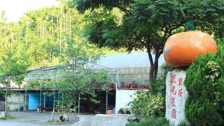 新寶觀光果園的官方照片