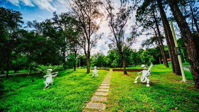 鄧雨賢音樂文化公園的官方照片