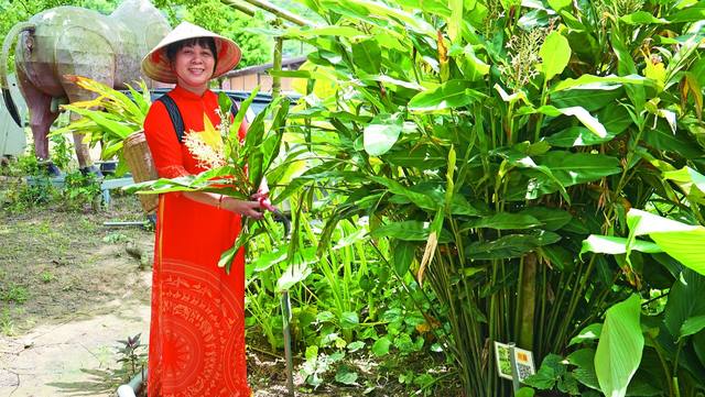 內立社區-茗香弄草香草園的官方照片