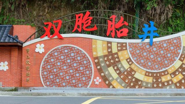 雙胞胎井的官方照片