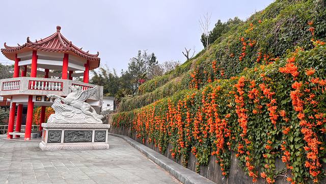 竹北蓮華寺的官方照片