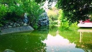 縣福園公園的官方照片