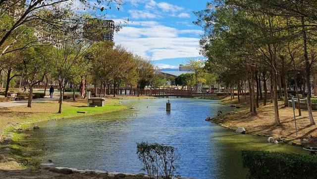 水圳森林公園的官方照片