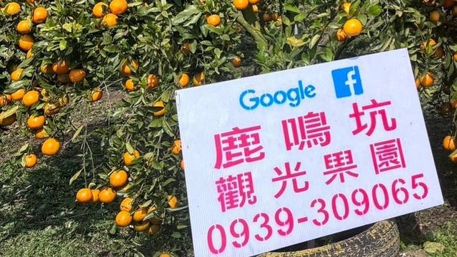 鹿鳴坑綜合觀光果園的官方照片