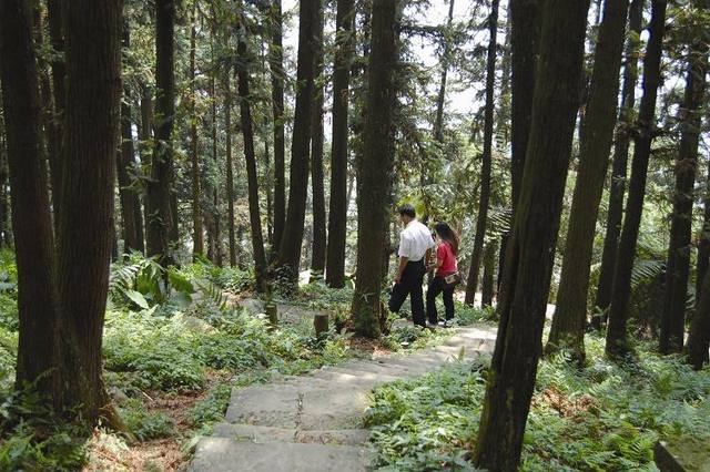 仙山登山步道的官方照片