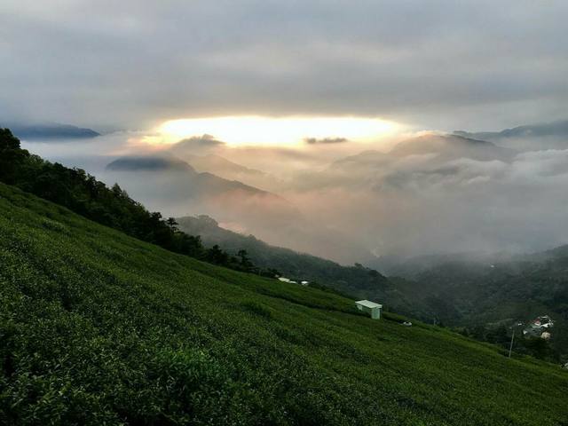 樟湖地區的官方照片