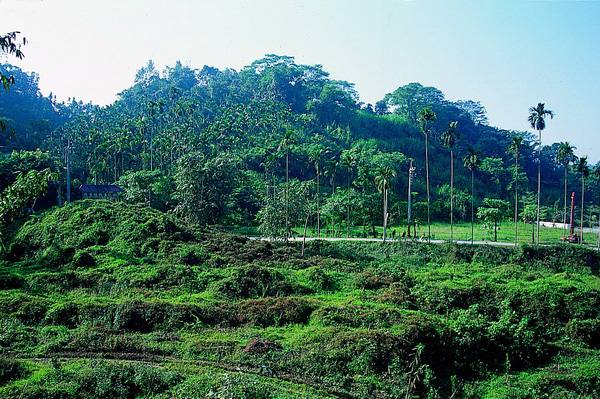 草嶺地質體驗區的官方照片
