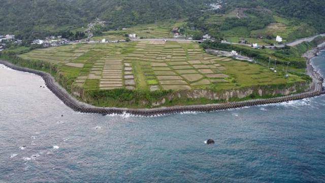 新社梯田的官方照片