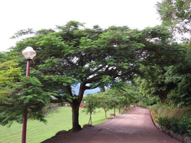美崙山公園的官方照片