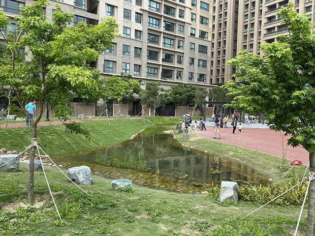 綠光公園的官方照片
