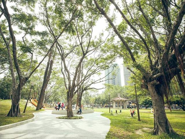 中央公園的官方照片