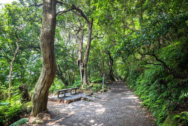 七星山系_天母古道親山步道的官方照片