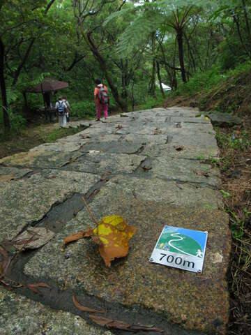 南港山系_麗山橋口親山步道的官方照片