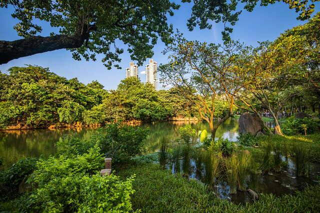 大安森林公園的官方照片