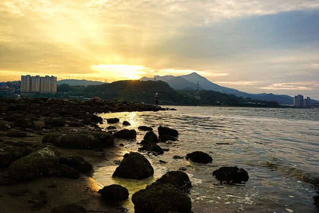 社子島島頭濕地的官方照片