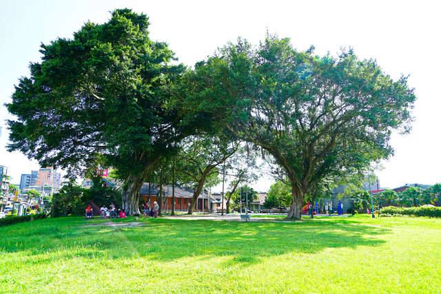和平青草園_萬華402號公園的官方照片