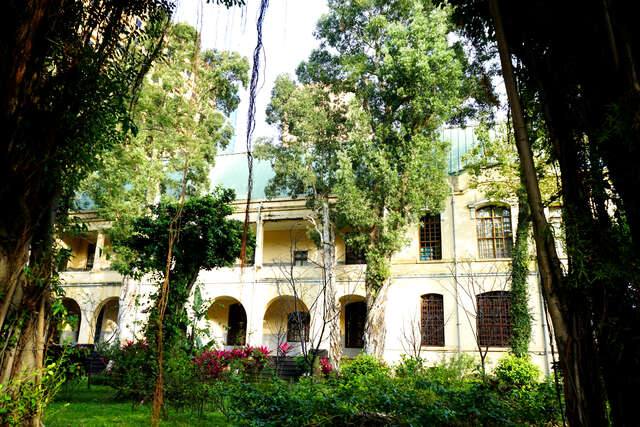 國立臺灣大學博物館群_醫學人文博物館的官方照片
