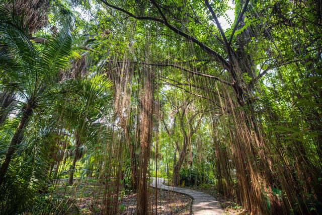 臺北植物園的官方照片