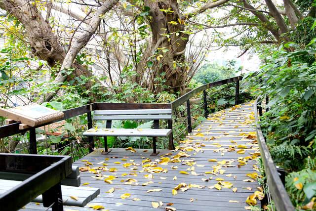 芝山公園的官方照片