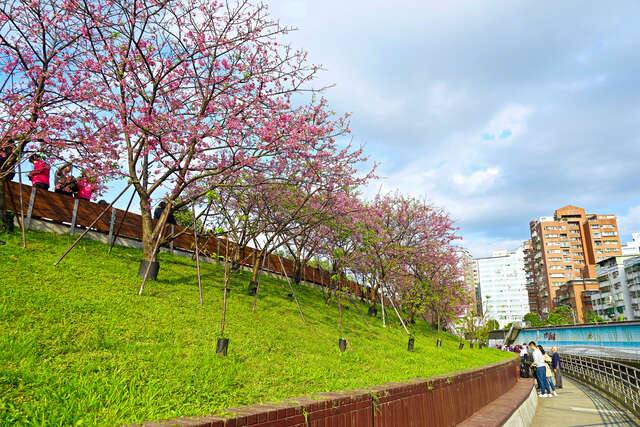 樂活公園的官方照片