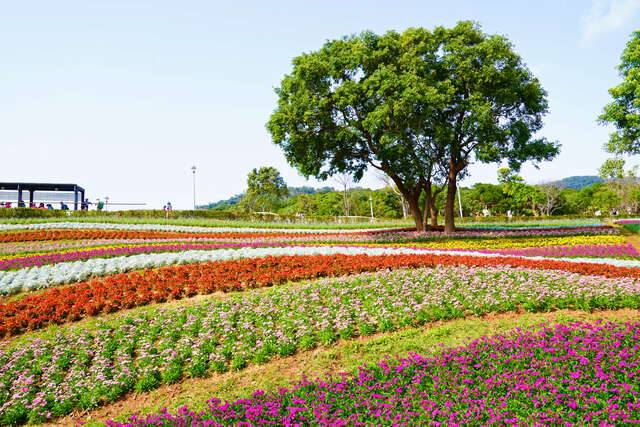 北投社三層崎公園的官方照片