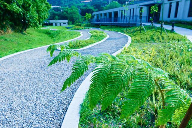 永春陂生態濕地公園的官方照片