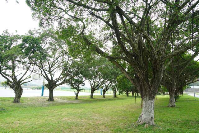 中正河濱公園的官方照片