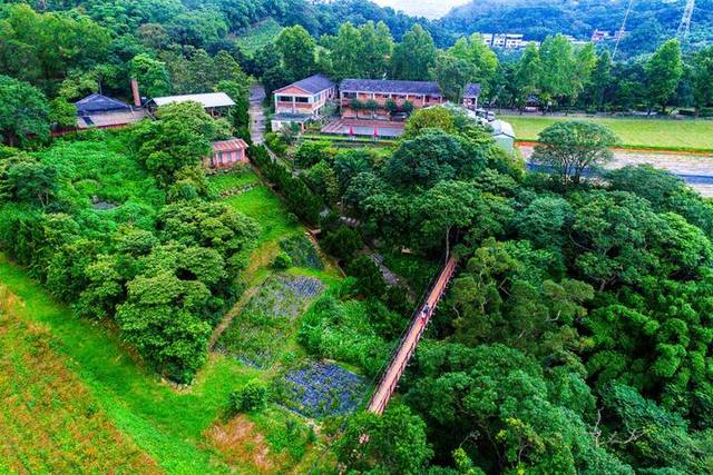 文山農場的官方照片