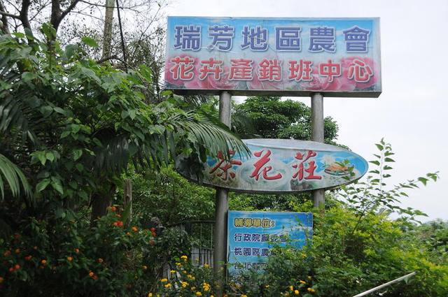 茶花莊的官方照片
