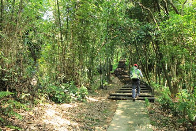 大同山登山步道的官方照片