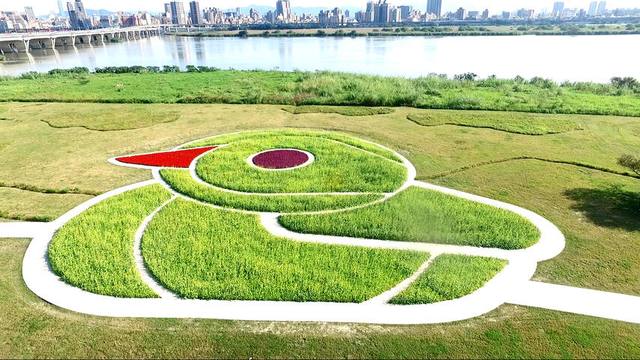 鴨鴨公園的官方照片