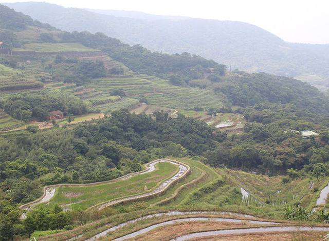 石門嵩山社區百年石砌梯田的官方照片