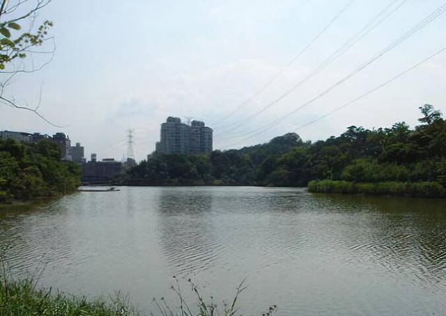汐止金龍湖環湖步道的官方照片