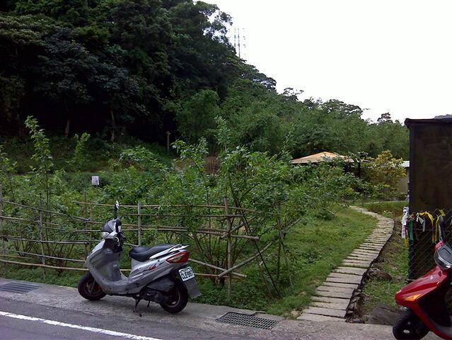 大崎嶺登山步道的官方照片