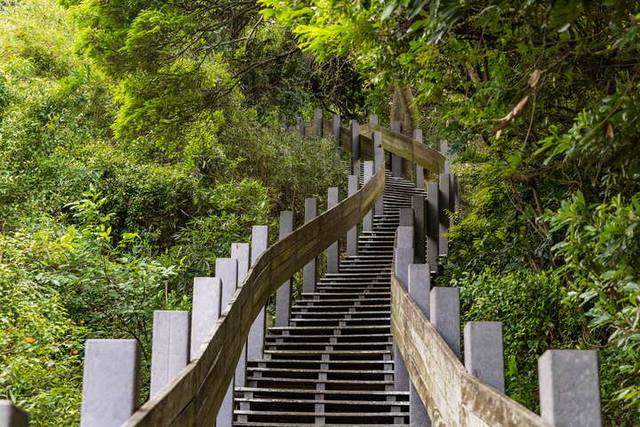 泰山義學坑步道的官方照片