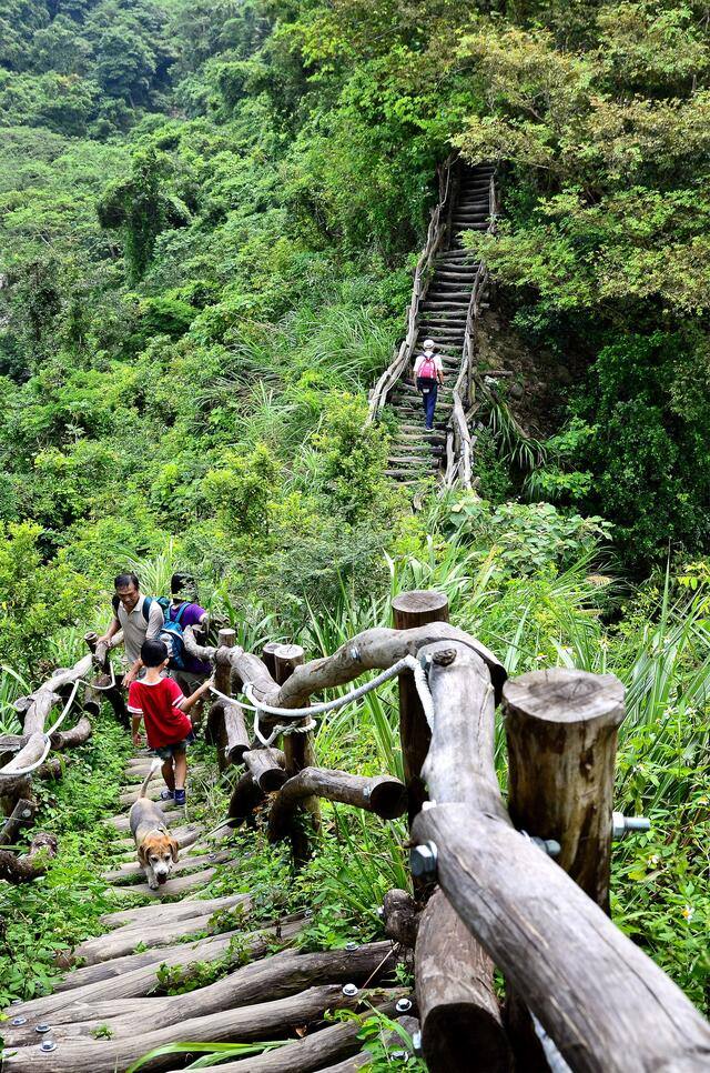 大坑2號登山步道的官方照片