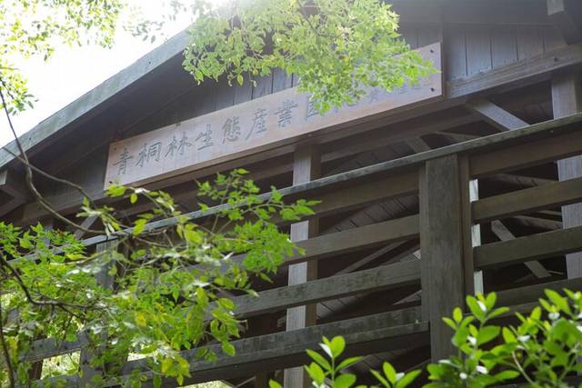 青桐林生態園區的官方照片