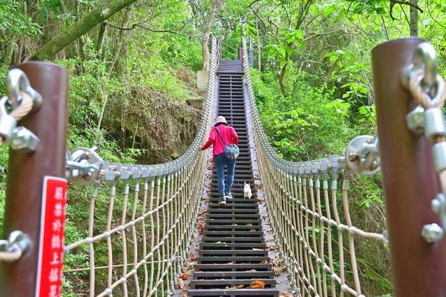 草嶺登山步道及楓仔林登山步道的官方照片