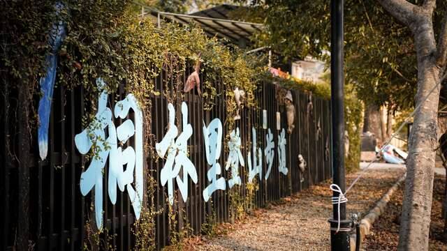 桐林里登山步道的官方照片