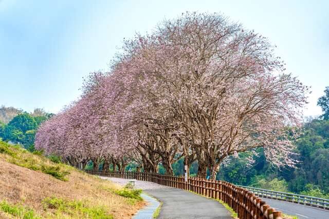 烏山頭水庫風景區的官方照片