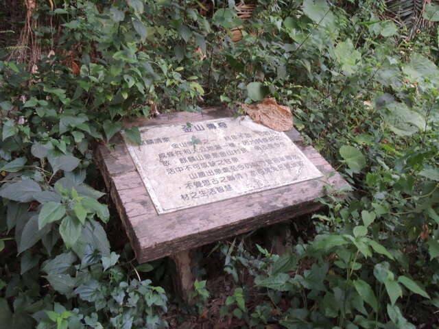 燕巢雞冠山的官方照片