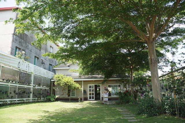張媽媽桑椹休閒農場的官方照片