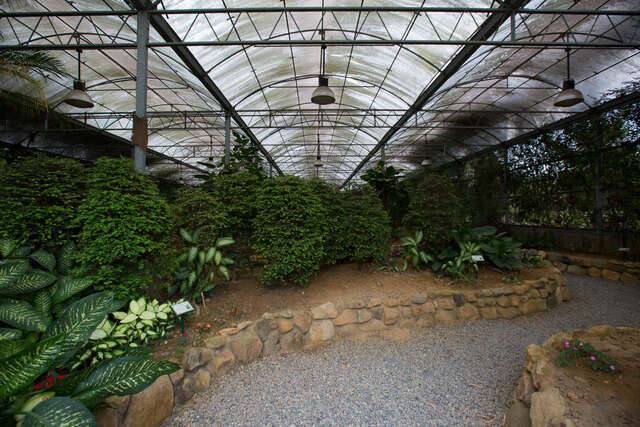 大坪頂熱帶植物園的官方照片