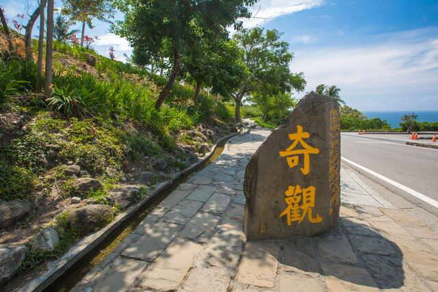水往上流的官方照片
