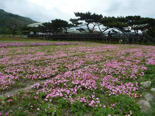 美山驛站的官方照片