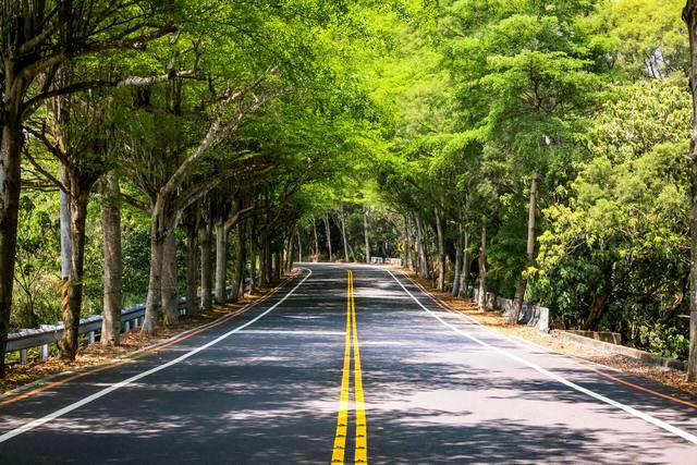 縣139線景觀道路的官方照片